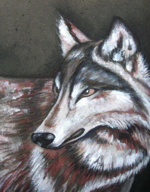 Wolf dámský, na objednávku — foto 4