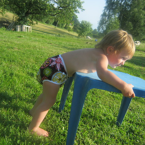 Svrchňáčky jednovelikostní — foto 6