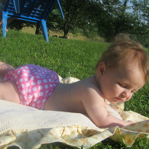 AIO kapsová — foto 4