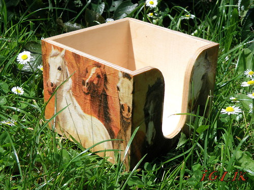 Léto s kovbojem :o) — foto 2