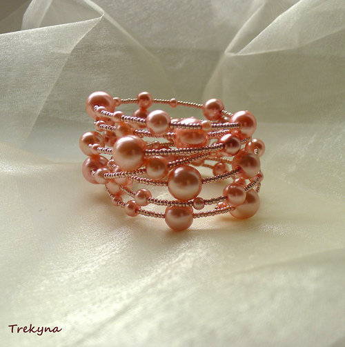 Salmon — foto 2