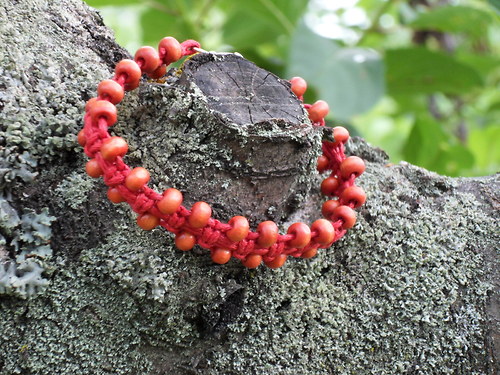 Přírodní červený — foto 3