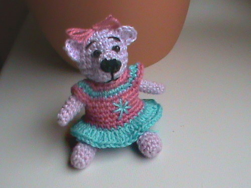 Medvědí mini fialka — foto 2