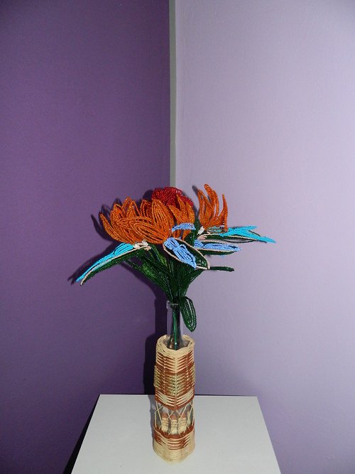 Strelítzie — foto 2