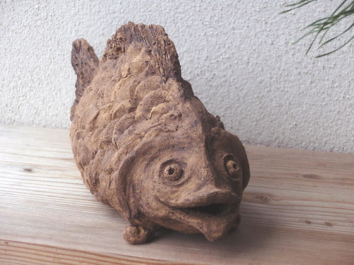 Český kapřík — foto 3