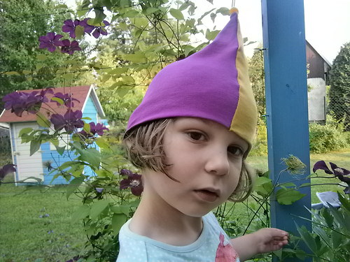 Pro šášulku — foto 2