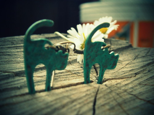 Cats... — foto 2