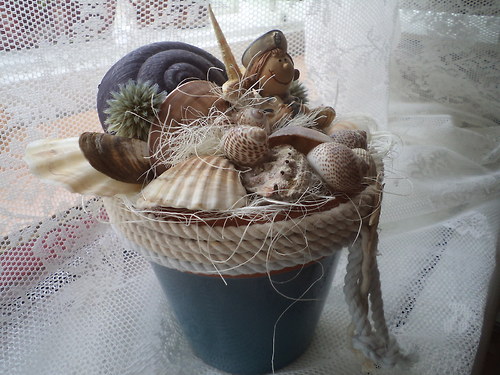 Béžovomodrý — foto 3