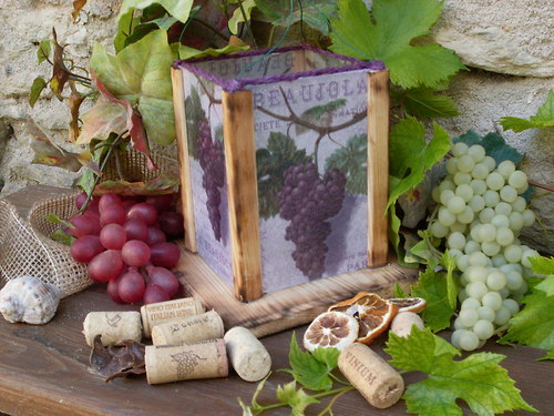 Lucernička "Z Francouzských vinic" — foto 5