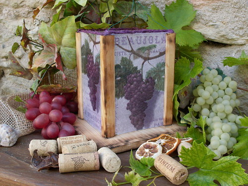 Lucernička "Z Francouzských vinic" — foto 6