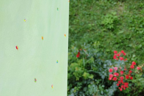 Odkvétání - na přání — foto 6