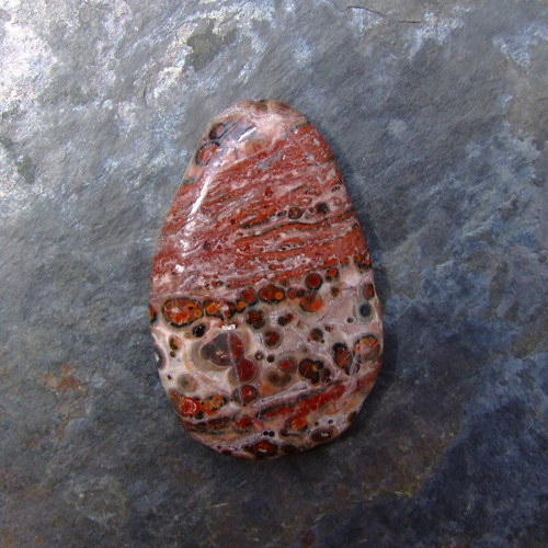 Jaspis Leopardí — foto 2