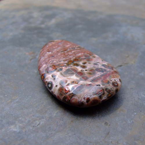 Jaspis Leopardí — foto 3