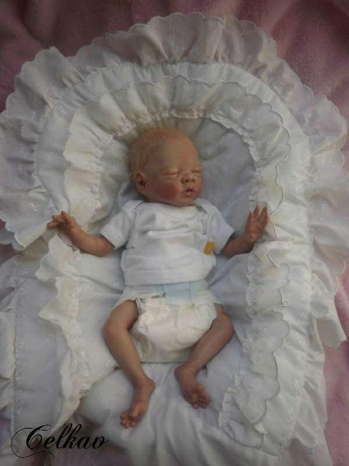 Reborn panenka Daisy — foto 5