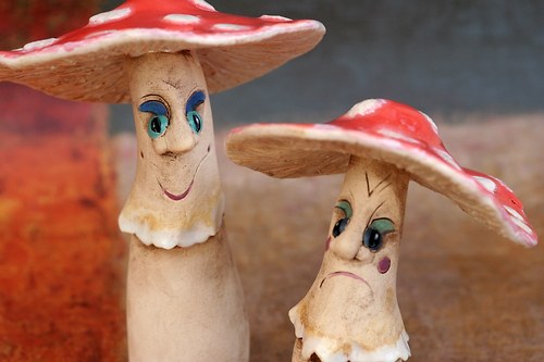 Rozpustilé muchomůrky — foto 5