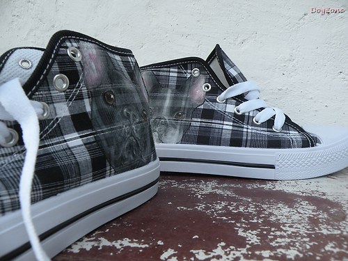 Frenchie....botky 50% sleva — foto 2