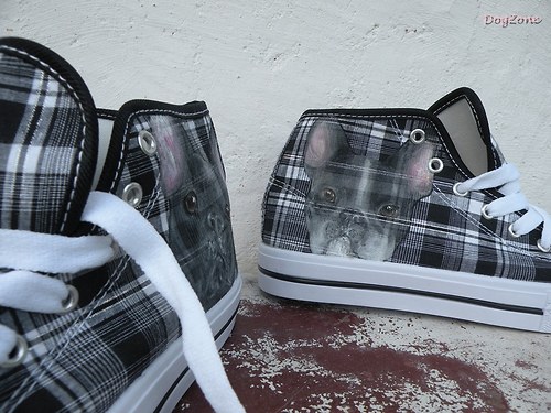 Frenchie....botky 50% sleva — foto 3