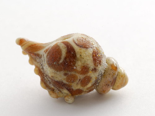 Skleněné mušličky — foto 3