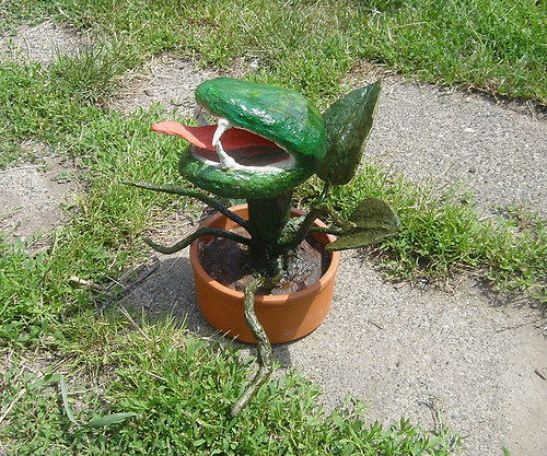 Trifid z papíru — foto 5