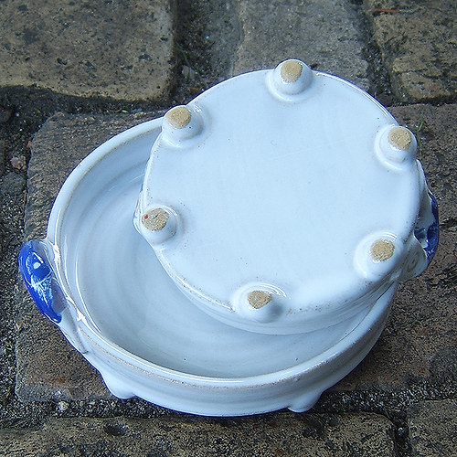 Dvatalířek — foto 3