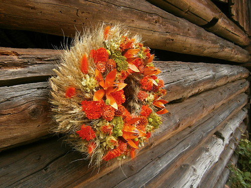 Obilný ohnivý — foto 2