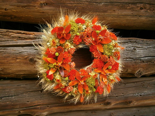 Obilný ohnivý — foto 3