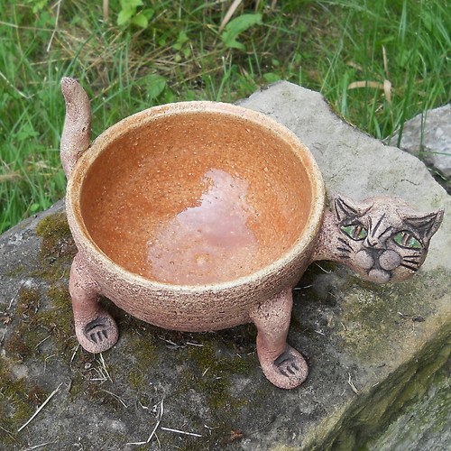 Kočičí miska — foto 2