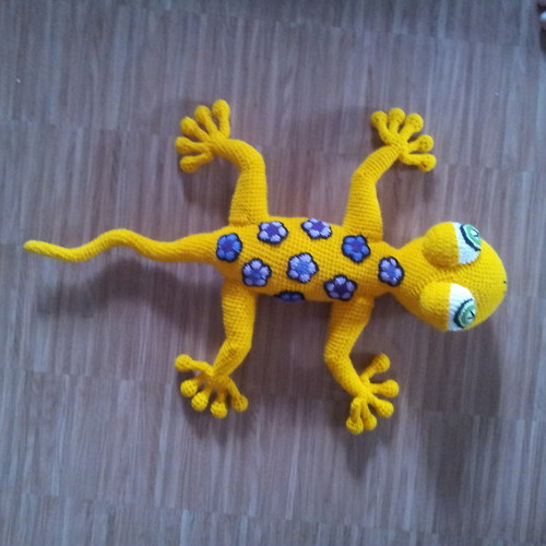 Gekon květošek (67cm) — foto 3