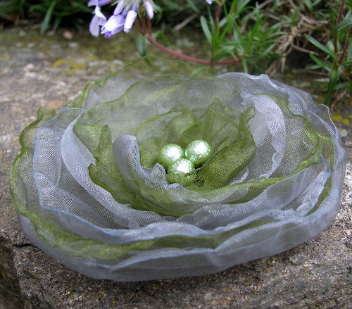 Rosa v trávě — foto 2