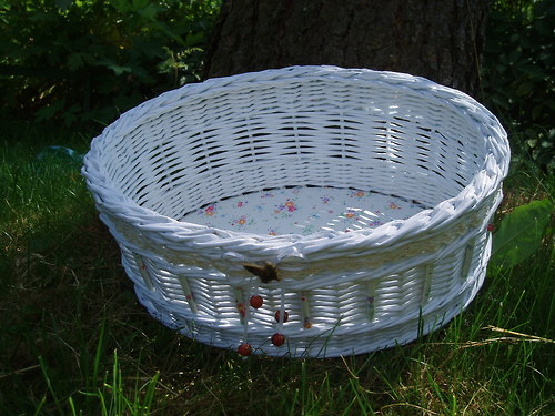 Ošatka — foto 2