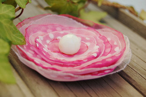 Růžová puntíkatá — foto 2