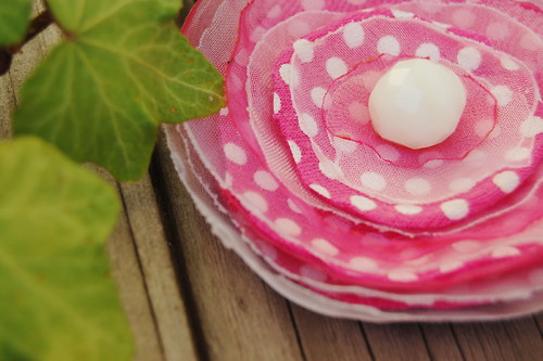 Růžová puntíkatá — foto 3