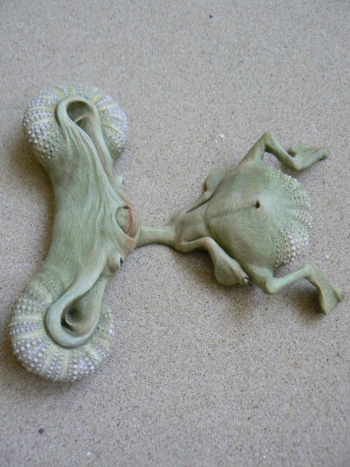 Klevetnice ploskonohá — foto 2
