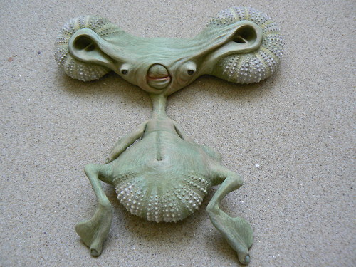 Klevetnice ploskonohá — foto 3