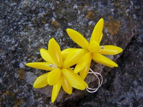 Dandelion - pampeliška — foto 2