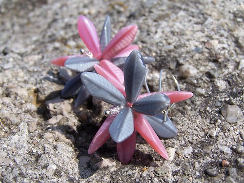 Élégant Gris — foto 2