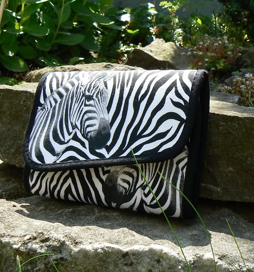Zebra I — foto 2
