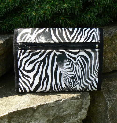 Zebra I — foto 3