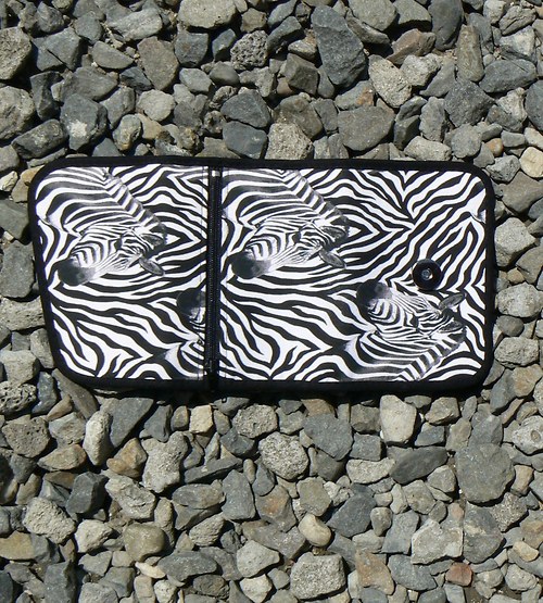 Zebra I — foto 5