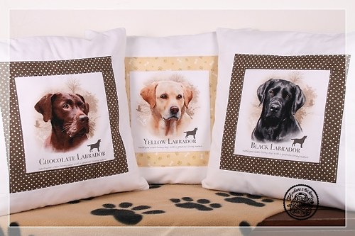 POLŠTÁŘE - CHLUPATÉ ŠTĚSTÍ - ČERNÝ LABRADOR — foto 3