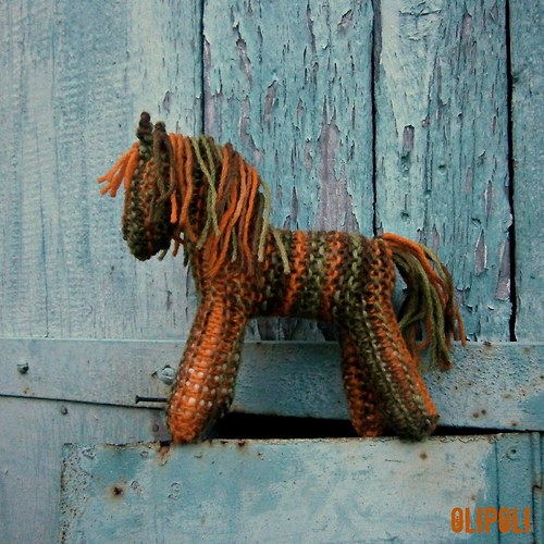 Koník Pumpkin — foto 2