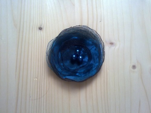 Blueberry — foto 2