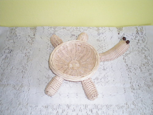 Želvička — foto 2