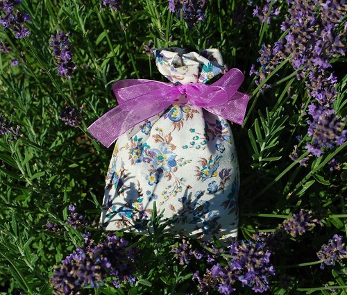 Pytlík plný letošní sušené levandule — foto 3