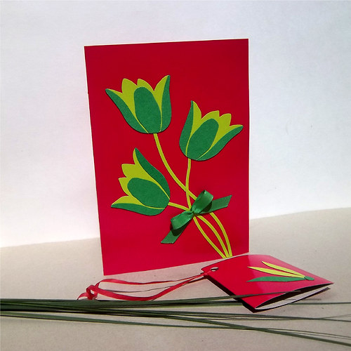 V hlavní roli tulipán — foto 3