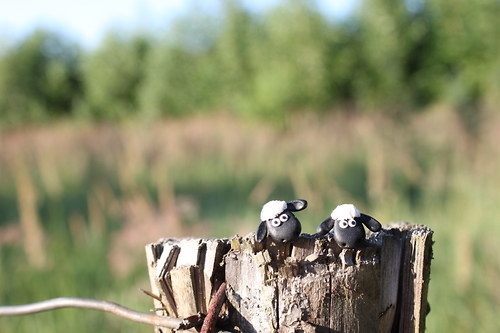 Hej Shaun the sheep! — foto 2