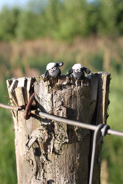 Hej Shaun the sheep! — foto 3