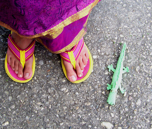Krokodýl Jaipur — foto 4