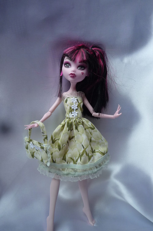 Jarní tulipánové pro Monster High — foto 2