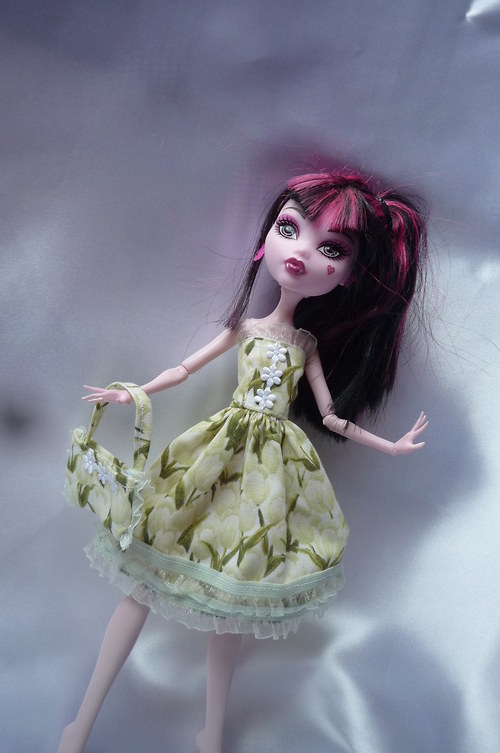 Jarní tulipánové pro Monster High — foto 3